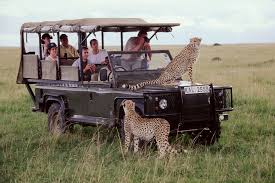Customized Safari Packages